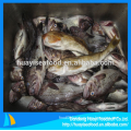 fresh frozen fat greenling fish with superior supplier